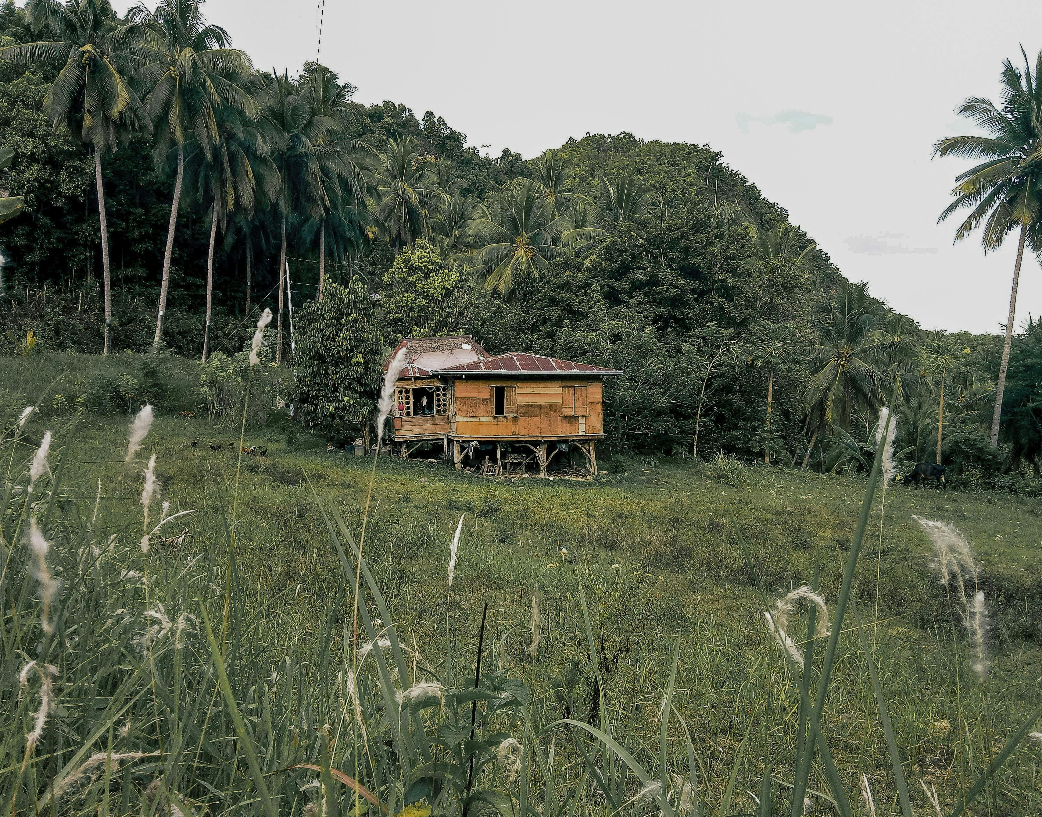 Itinerary Limón Province