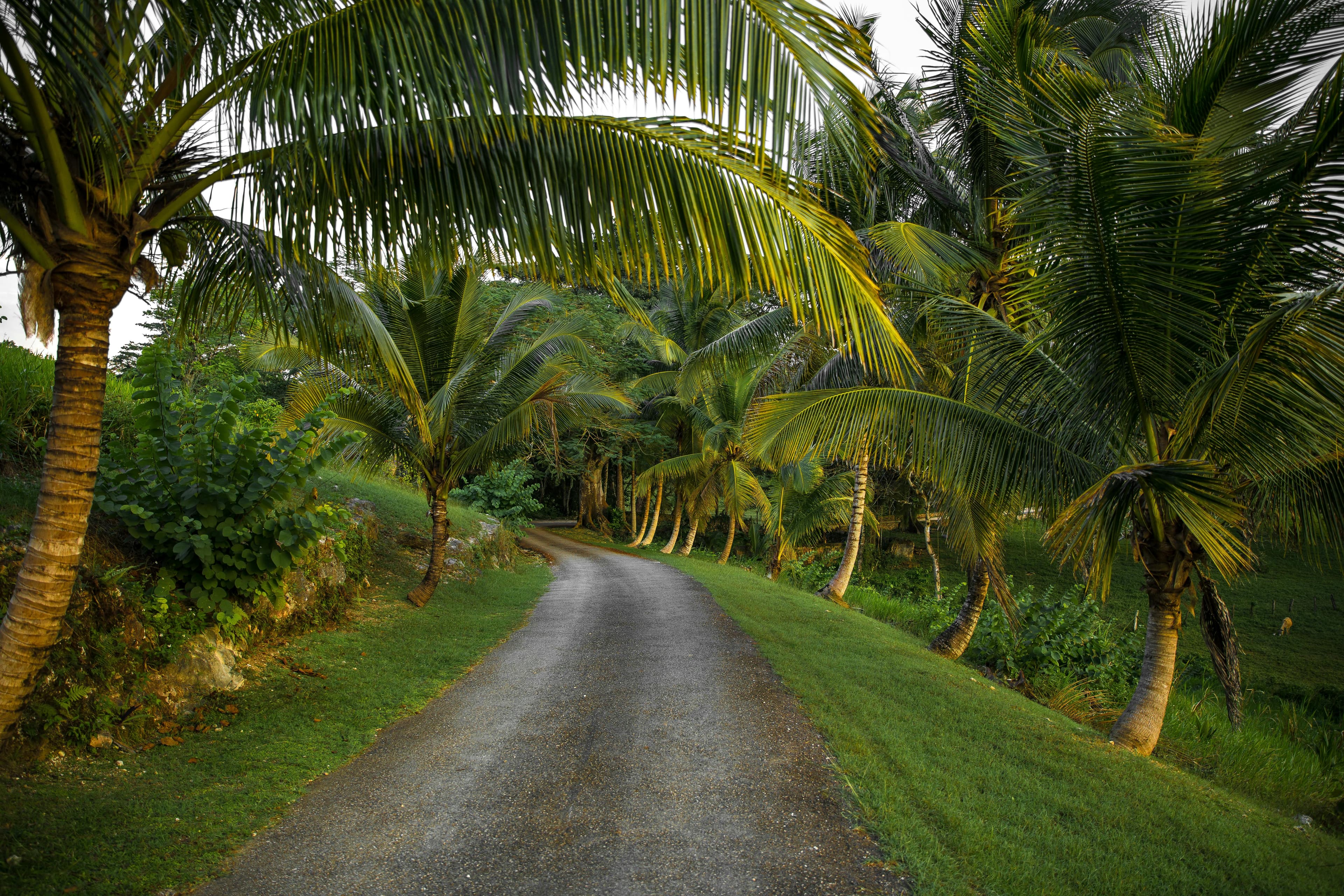 Itinerary Jamaica