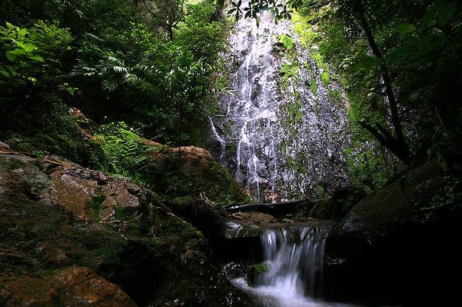 Day Trip to La Tigra and El Picacho Park