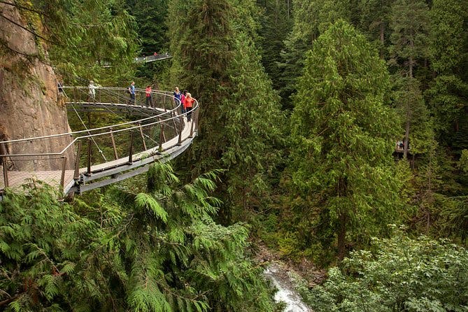 Grouse Mountain & Capilano Suspension Bridge Park