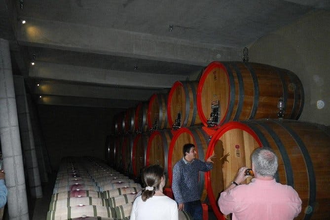 Private Wine Tour in Valparaiso