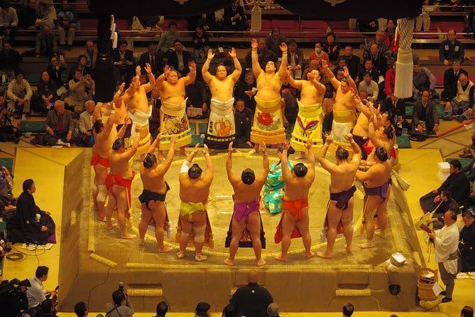 Tokyo Sumo Wrestling Tournament Experience[2F Chair Seat]