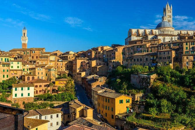 Skip the Line: Siena Duomo and City Walking Tour