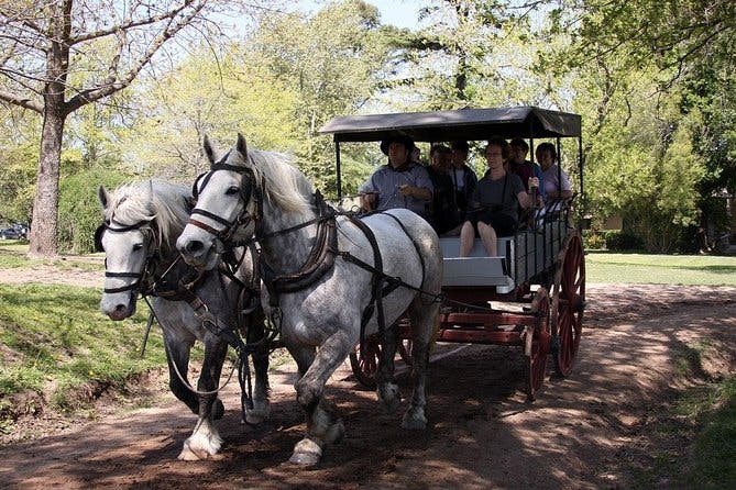 Private GAUCHO TOUR - FULL DAY TRIP Guided in EN, SPA or FR - Argentina