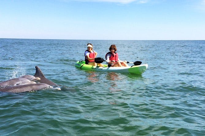 Small Group Dolphin Kayak Eco-Tour