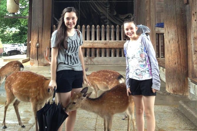 Nara private tour (Shore excursion available from Osaka or Kobe port)