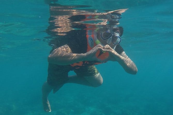 3 Point Snorkeling Safari