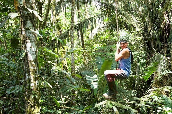 Tropical Escape: 3 Days Amazon Rainforest Tour from Quito