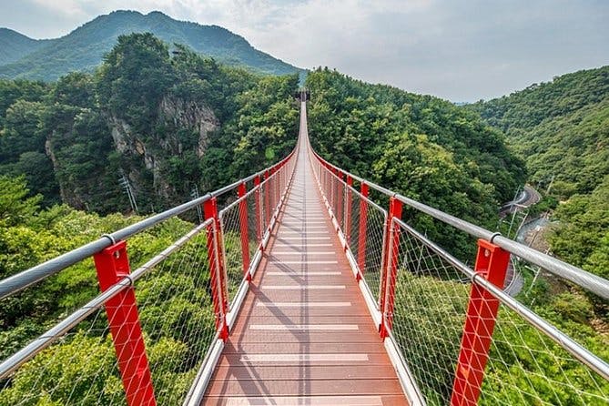 DMZ Tour: 3rd Tunnel, Option(Suspension Bridge, Boat) from Seoul