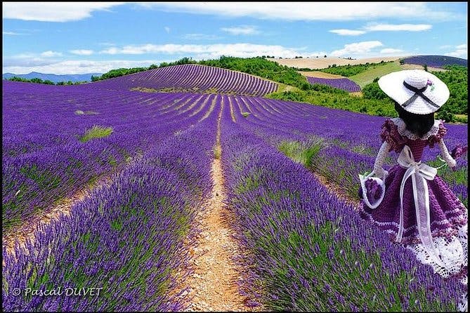 Nice: Gorges of Verdon and Fields of Lavender Tour