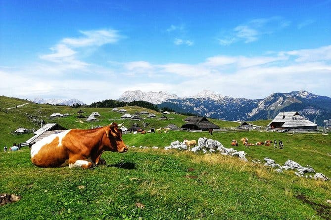 Velika Planina Mountain Plateau and Kamnik Tour from Ljubljana