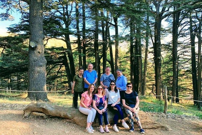 Small-Group Tour Qadisha Valley, Becharre and Cedars with Lunch and Tickets
