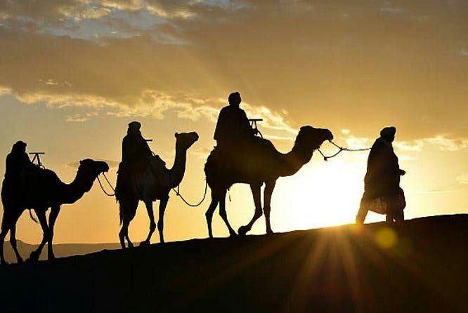 Agadir Camel Ride with barbecue 