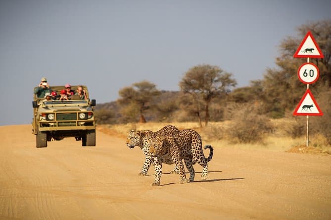 12 Day Classic Namibia Camping Safari