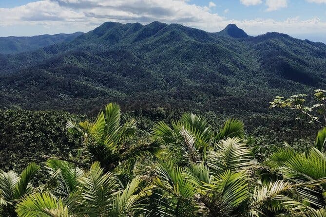 El Yunque Rainforest, Waterslides, and Beach Tour with Transport