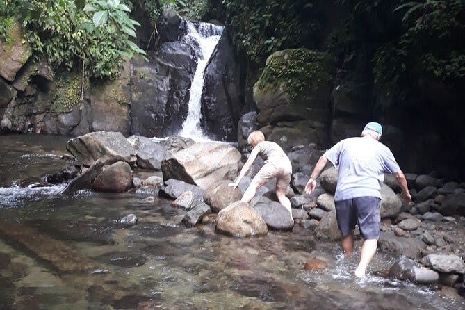 Half-Day Nature and Panorama Tour in Martinique