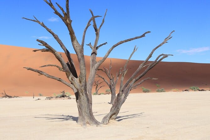 5-Day Tour to Namibia Desert Sossusvlei and Coast