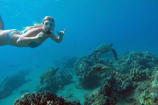 San Juan Guided Snorkel With Turtles Tour and Videos