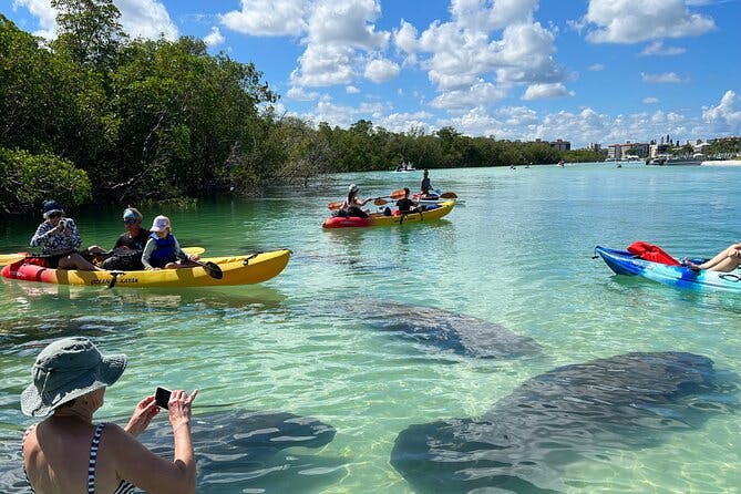 Guided Island EcoTour: CLEAR/Standard Kayak, SUP - Bonita Springs