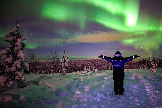 Northern Lights Wilderness Small-Group Tour from Rovaniemi 