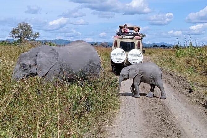 Mikumi Safari Tour: Day Trip Return Flight From Zanzibar