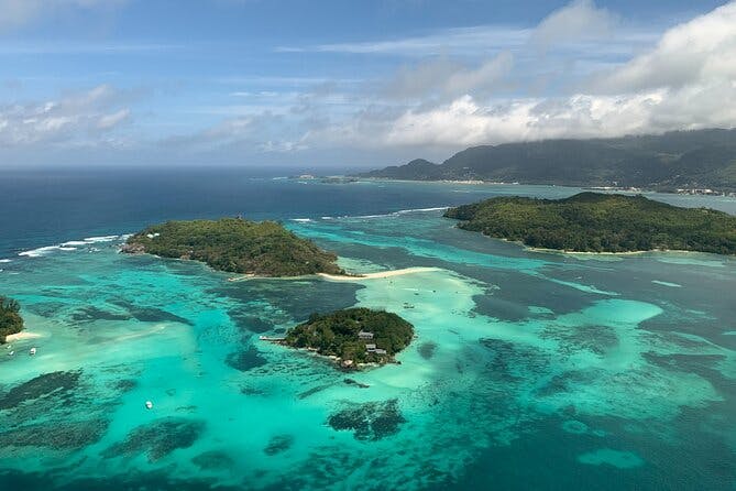 Reef Safari - Snorkeling, Fish Feeding & Lunch (Shared Day Trip)