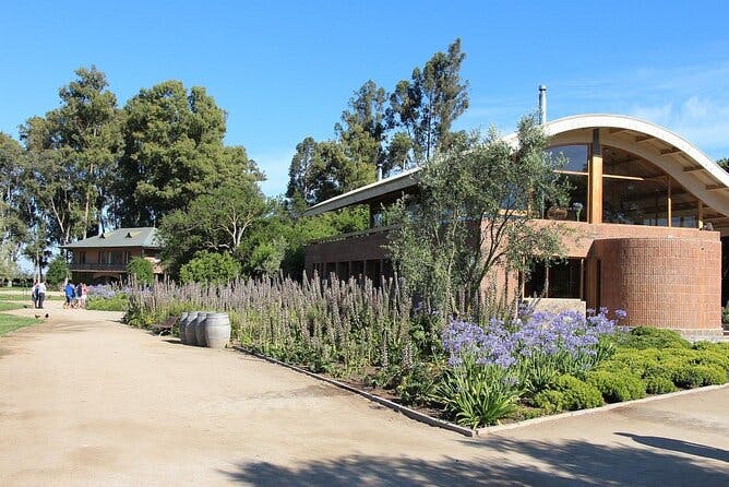 World Biggest Organic Winery Emiliana, Valparaiso & Transfer 