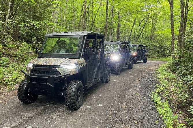 (3 HR) Guided Scenic UTV Adventure