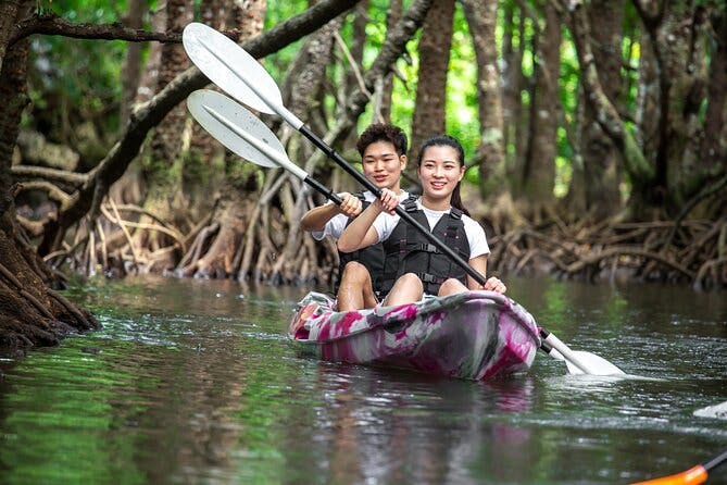 [Ishigaki]Mangrove SUP/Canoe Tour