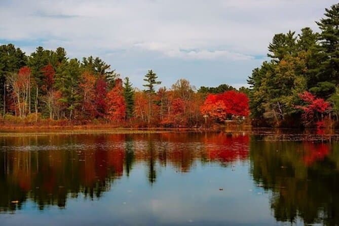 Fall Color Tour of Lake Leelanau with Licensed Guide