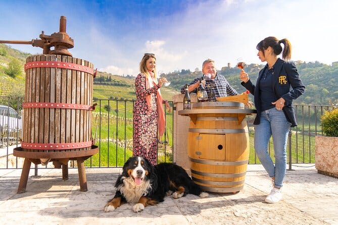 The Grand tour of Valpolicella: 2 Wineries, Lunch & Amarone focus