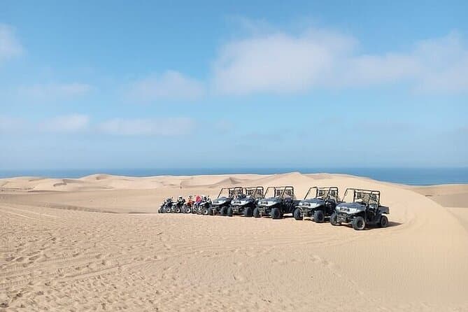 Best buggies in Agadir Forest and Beach Dunes