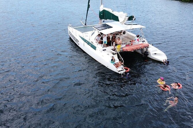 Full-Day Bocas del Toro Catamaran Dolphin and Snorkeling Tour in Panama