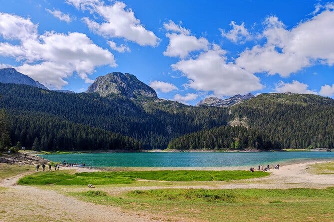 Montenegro: Black Lake and Tara Canyon Day Trip