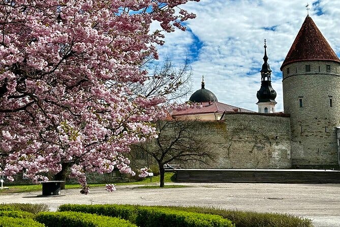 Guided Old Town Tallinn Historical Walking Tour